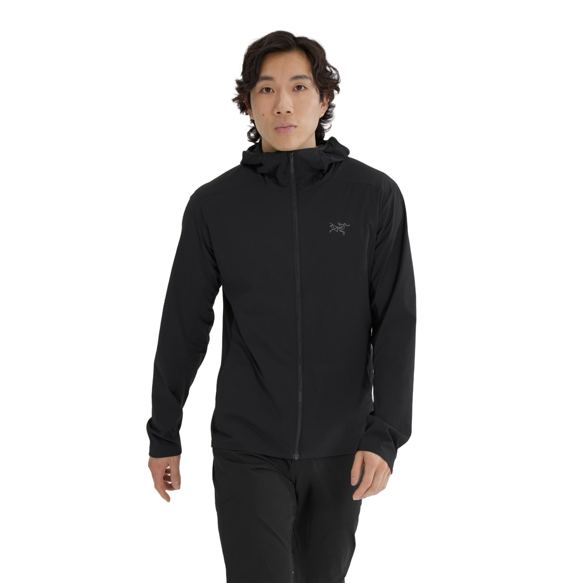 Arc'teryx Men's Atom SL Hoody