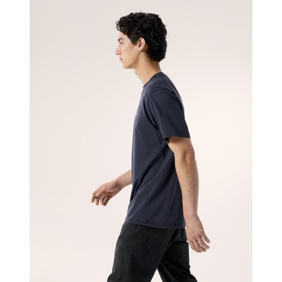 Arc'teryx Men's Kragg SL Cotton Blurred Bird Shirt SS